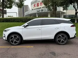 BYD Tang New Energy