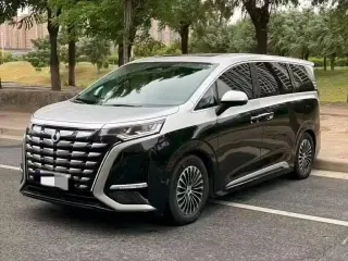 Denza D9