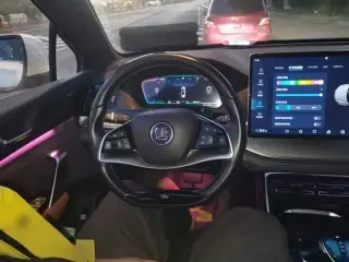 BYD Tang New Energy