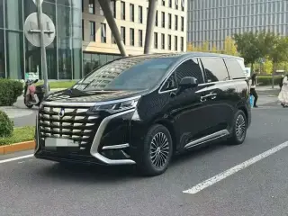 Denza D9