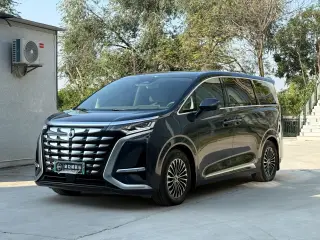 Denza D9