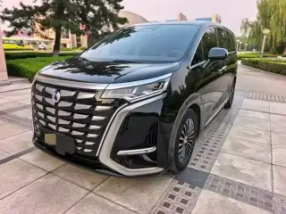 Denza D9