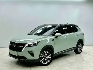 WuLing Star