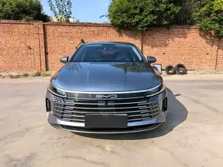 BYD Destroyer 05