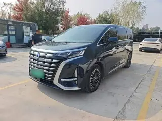 Denza D9