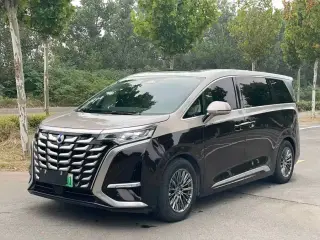 Denza D9