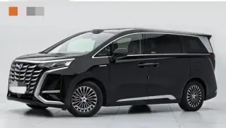 Denza D9