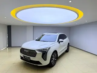 Haval First Love