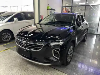 Buick Envision S