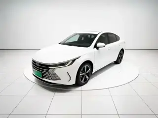 BYD Destroyer 05