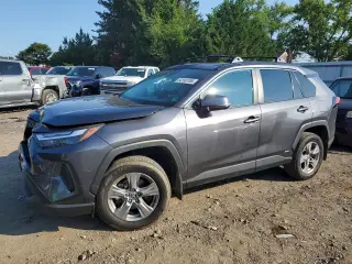 TOYOTA RAV4 HYBRID 2024