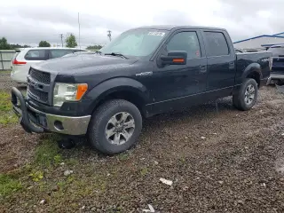 FORD F150 2013